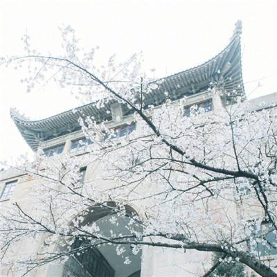 北京大部分博物馆已免预约开放，可到现场购票或直接入馆