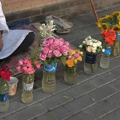 纪念卫国战争爆发83周年普京向无名烈士墓献花圈